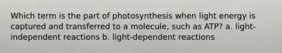 Which term is the part of photosynthesis when light energy is captured and transferred to a molecule, such as ATP? a. light-independent reactions b. light-dependent reactions