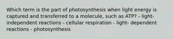 Which term is the part of photosynthesis when light energy is captured and transferred to a molecule, such as ATP? - light- independent reactions - <a href='https://www.questionai.com/knowledge/k1IqNYBAJw-cellular-respiration' class='anchor-knowledge'>cellular respiration</a> - light- dependent reactions - photosynthesis