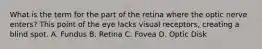 What is the term for the part of the retina where the optic nerve enters? This point of the eye lacks visual receptors, creating a blind spot. A. Fundus B. Retina C. Fovea D. Optic Disk