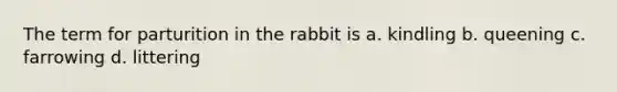 The term for parturition in the rabbit is a. kindling b. queening c. farrowing d. littering