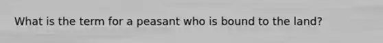 What is the term for a peasant who is bound to the land?