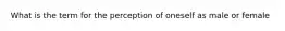 What is the term for the perception of oneself as male or female