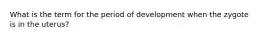 What is the term for the period of development when the zygote is in the uterus?