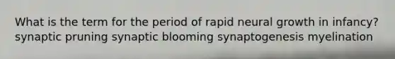 What is the term for the period of rapid neural growth in infancy? synaptic pruning synaptic blooming synaptogenesis myelination