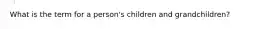 What is the term for a person's children and grandchildren?