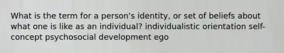 What is the term for a person's identity, or set of beliefs about what one is like as an individual? individualistic orientation self-concept psychosocial development ego