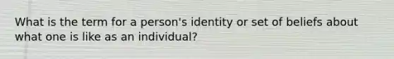 What is the term for a person's identity or set of beliefs about what one is like as an individual?