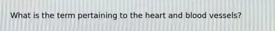 What is the term pertaining to the heart and blood vessels?