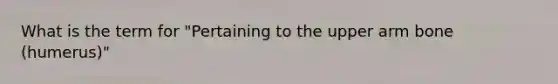 What is the term for "Pertaining to the upper arm bone (humerus)"