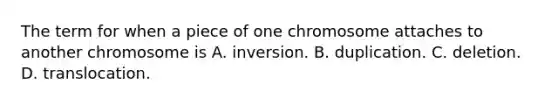 The term for when a piece of one chromosome attaches to another chromosome is A. inversion. B. duplication. C. deletion. D. translocation.