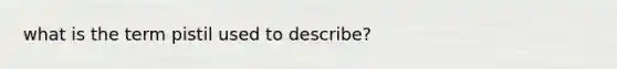 what is the term pistil used to describe?