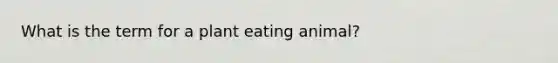 What is the term for a plant eating animal?