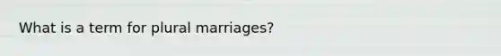 What is a term for plural marriages?