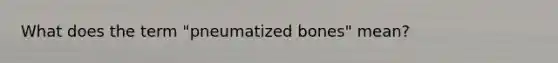 What does the term "pneumatized bones" mean?