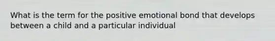 What is the term for the positive emotional bond that develops between a child and a particular individual