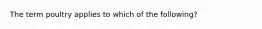 The term poultry applies to which of the following?