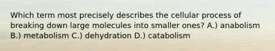 Which term most precisely describes the cellular process of breaking down large molecules into smaller ones? A.) anabolism B.) metabolism C.) dehydration D.) catabolism