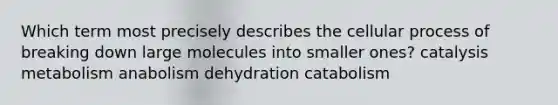 Which term most precisely describes the cellular process of breaking down large molecules into smaller ones? catalysis metabolism anabolism dehydration catabolism