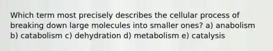 Which term most precisely describes the cellular process of breaking down large molecules into smaller ones? a) anabolism b) catabolism c) dehydration d) metabolism e) catalysis