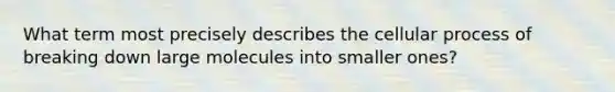 What term most precisely describes the cellular process of breaking down large molecules into smaller ones?