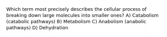 Which term most precisely describes the cellular process of breaking down large molecules into smaller ones? A) Catabolism (catabolic pathways) B) Metabolism C) Anabolism (anabolic pathways) D) Dehydration