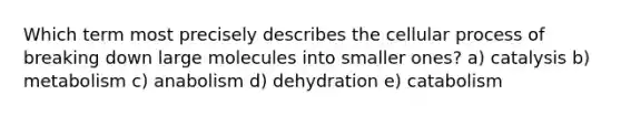 Which term most precisely describes the cellular process of breaking down large molecules into smaller ones? a) catalysis b) metabolism c) anabolism d) dehydration e) catabolism