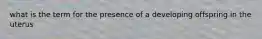 what is the term for the presence of a developing offspring in the uterus