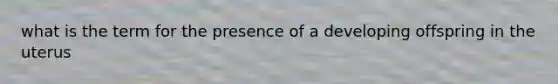 what is the term for the presence of a developing offspring in the uterus