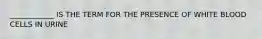 ____________ IS THE TERM FOR THE PRESENCE OF WHITE BLOOD CELLS IN URINE