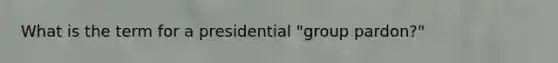 What is the term for a presidential "group pardon?"