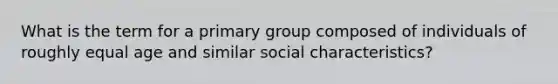 What is the term for a primary group composed of individuals of roughly equal age and similar social characteristics?