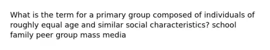 What is the term for a primary group composed of individuals of roughly equal age and similar social characteristics? school family peer group mass media