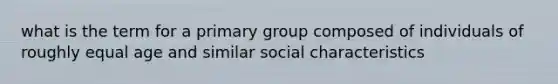 what is the term for a primary group composed of individuals of roughly equal age and similar social characteristics