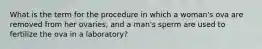 What is the term for the procedure in which a woman's ova are removed from her ovaries, and a man's sperm are used to fertilize the ova in a laboratory?