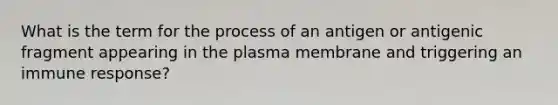 What is the term for the process of an antigen or antigenic fragment appearing in the plasma membrane and triggering an immune response?