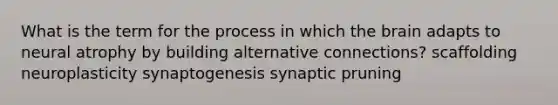 What is the term for the process in which the brain adapts to neural atrophy by building alternative connections? scaffolding neuroplasticity synaptogenesis synaptic pruning