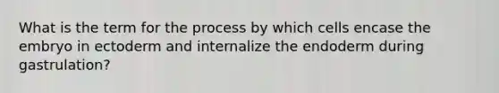 What is the term for the process by which cells encase the embryo in ectoderm and internalize the endoderm during gastrulation?