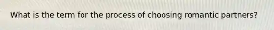 What is the term for the process of choosing romantic partners?