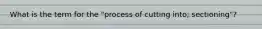 What is the term for the "process of cutting into; sectioning"?