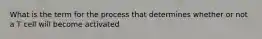 What is the term for the process that determines whether or not a T cell will become activated