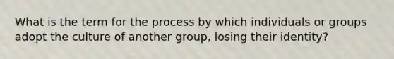 What is the term for the process by which individuals or groups adopt the culture of another group, losing their identity?