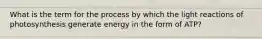 What is the term for the process by which the light reactions of photosynthesis generate energy in the form of ATP?