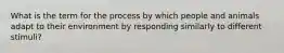 What is the term for the process by which people and animals adapt to their environment by responding similarly to different stimuli?