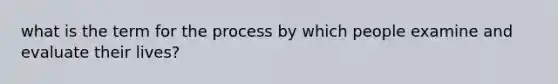 what is the term for the process by which people examine and evaluate their lives?