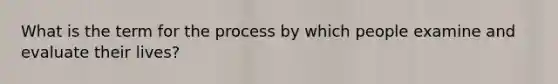 What is the term for the process by which people examine and evaluate their lives?