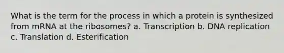 What is the term for the process in which a protein is synthesized from mRNA at the ribosomes? a. Transcription b. <a href='https://www.questionai.com/knowledge/kofV2VQU2J-dna-replication' class='anchor-knowledge'>dna replication</a> c. Translation d. Esterification