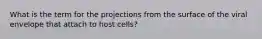 What is the term for the projections from the surface of the viral envelope that attach to host cells?