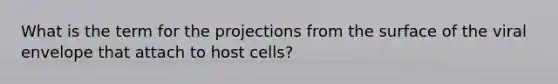 What is the term for the projections from the surface of the viral envelope that attach to host cells?