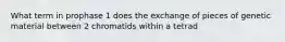 What term in prophase 1 does the exchange of pieces of genetic material between 2 chromatids within a tetrad