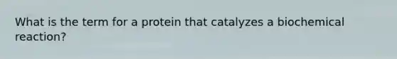 What is the term for a protein that catalyzes a biochemical reaction?